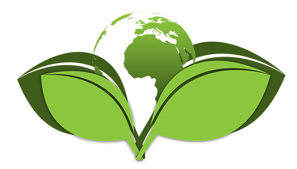 Green-Cleaning--green-cleaning.jpg-image